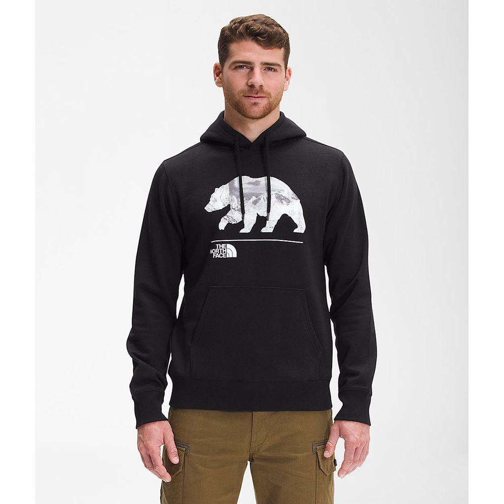 The north online face bearscape hoodie